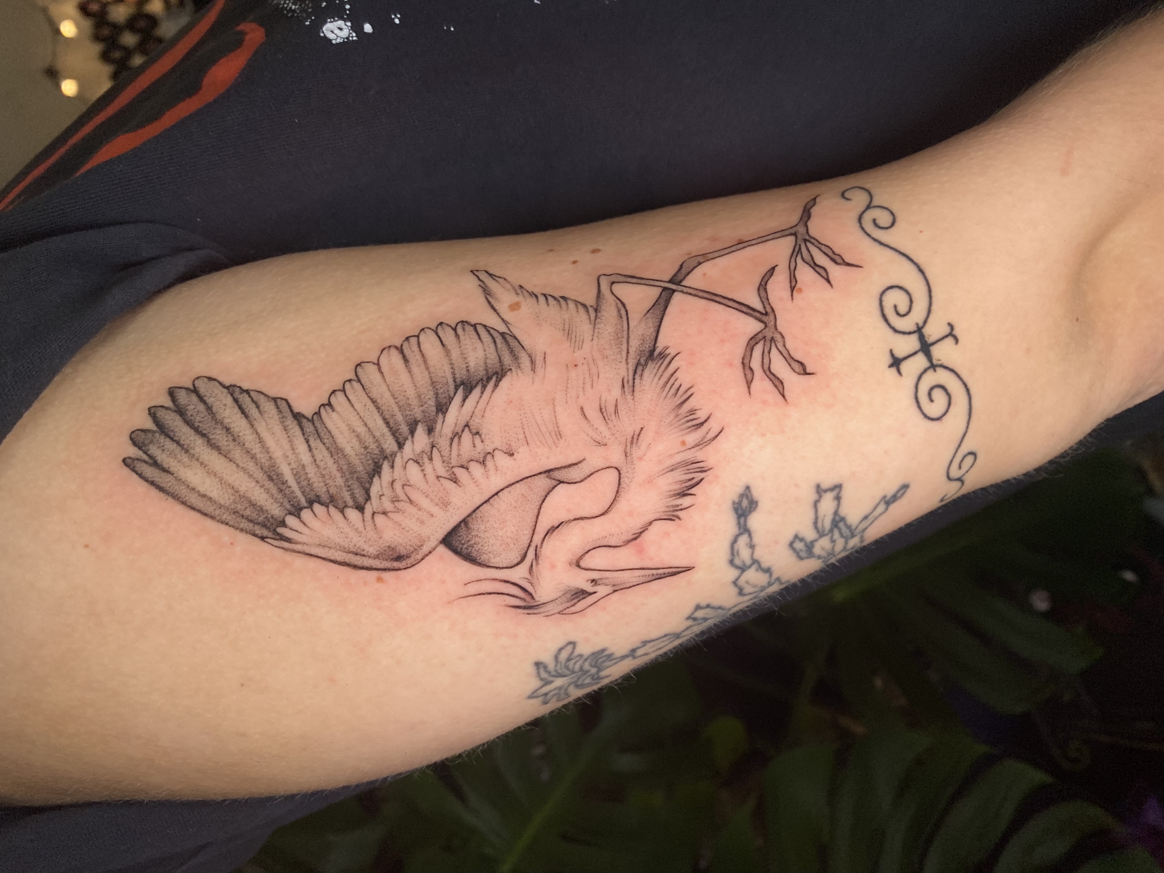 Tattoo image