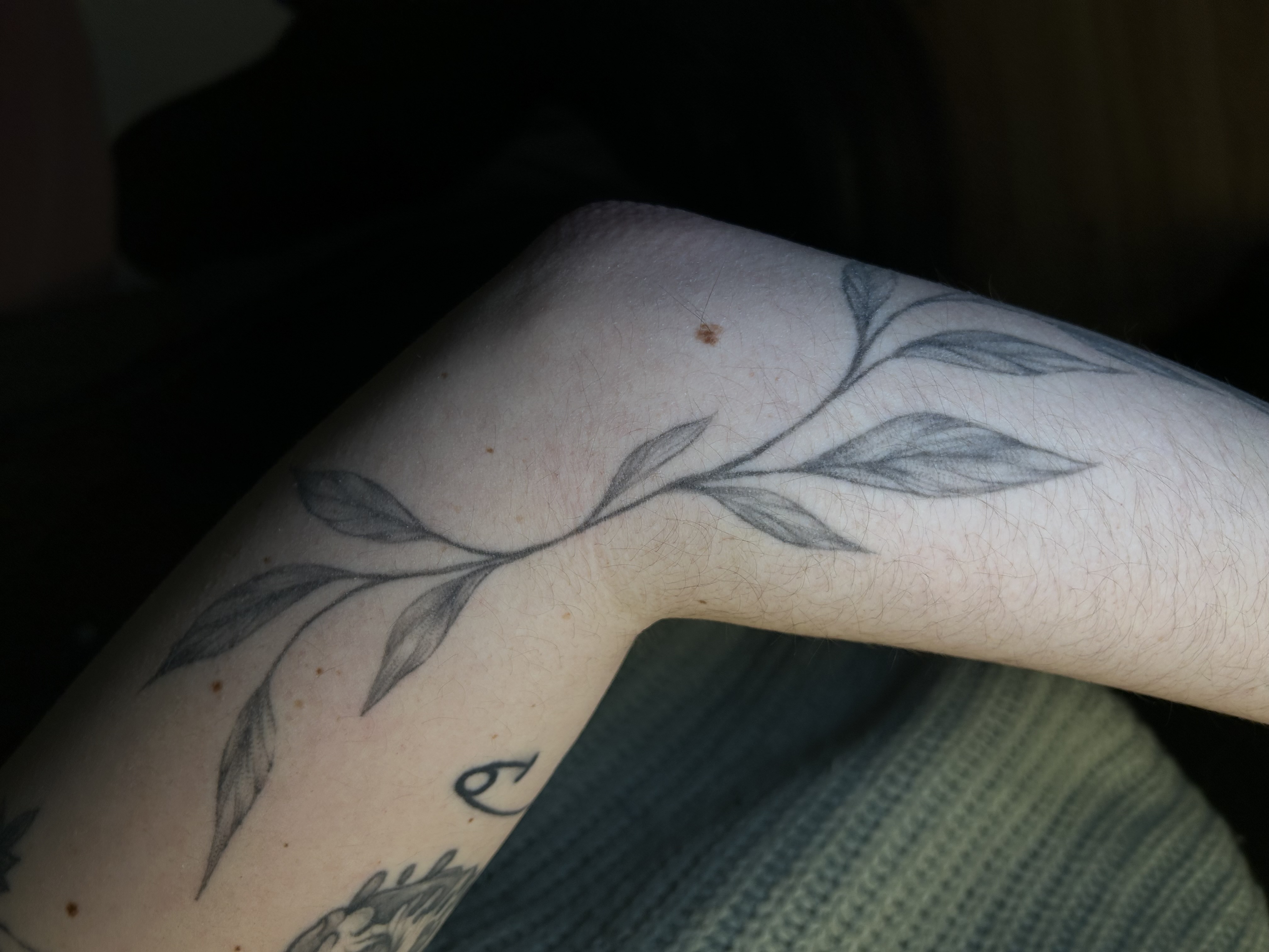 Tattoo image