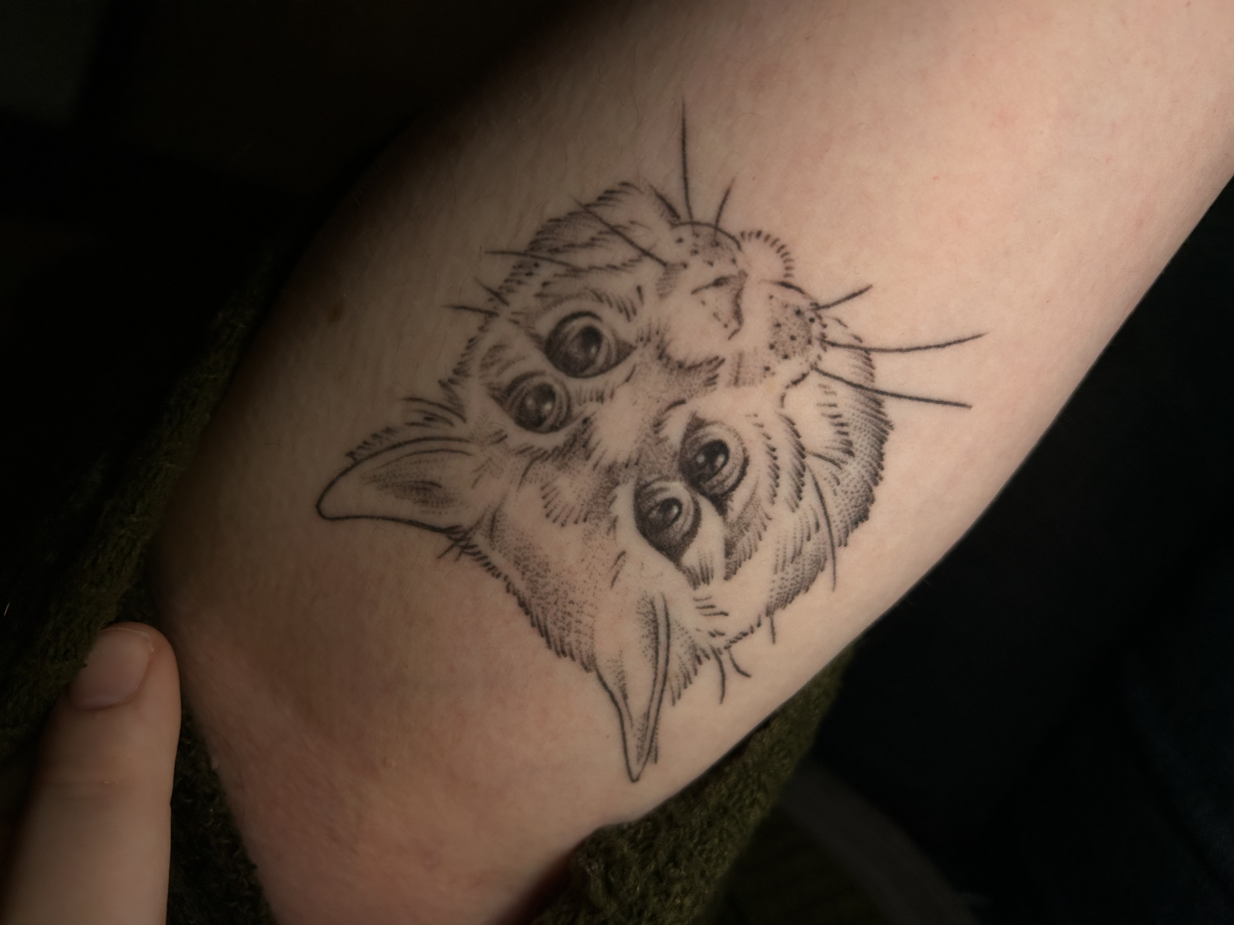 Tattoo image