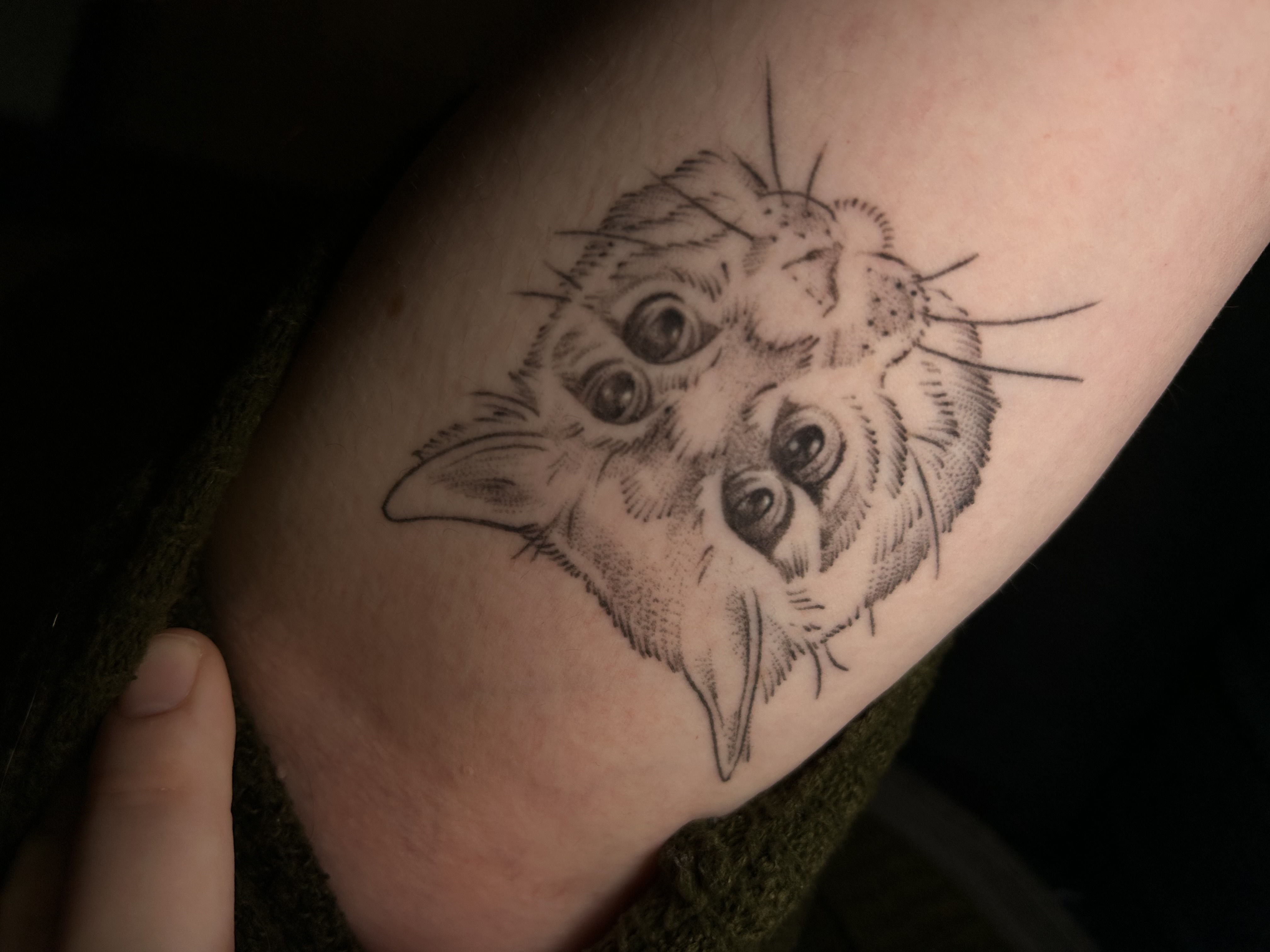 Tattoo image