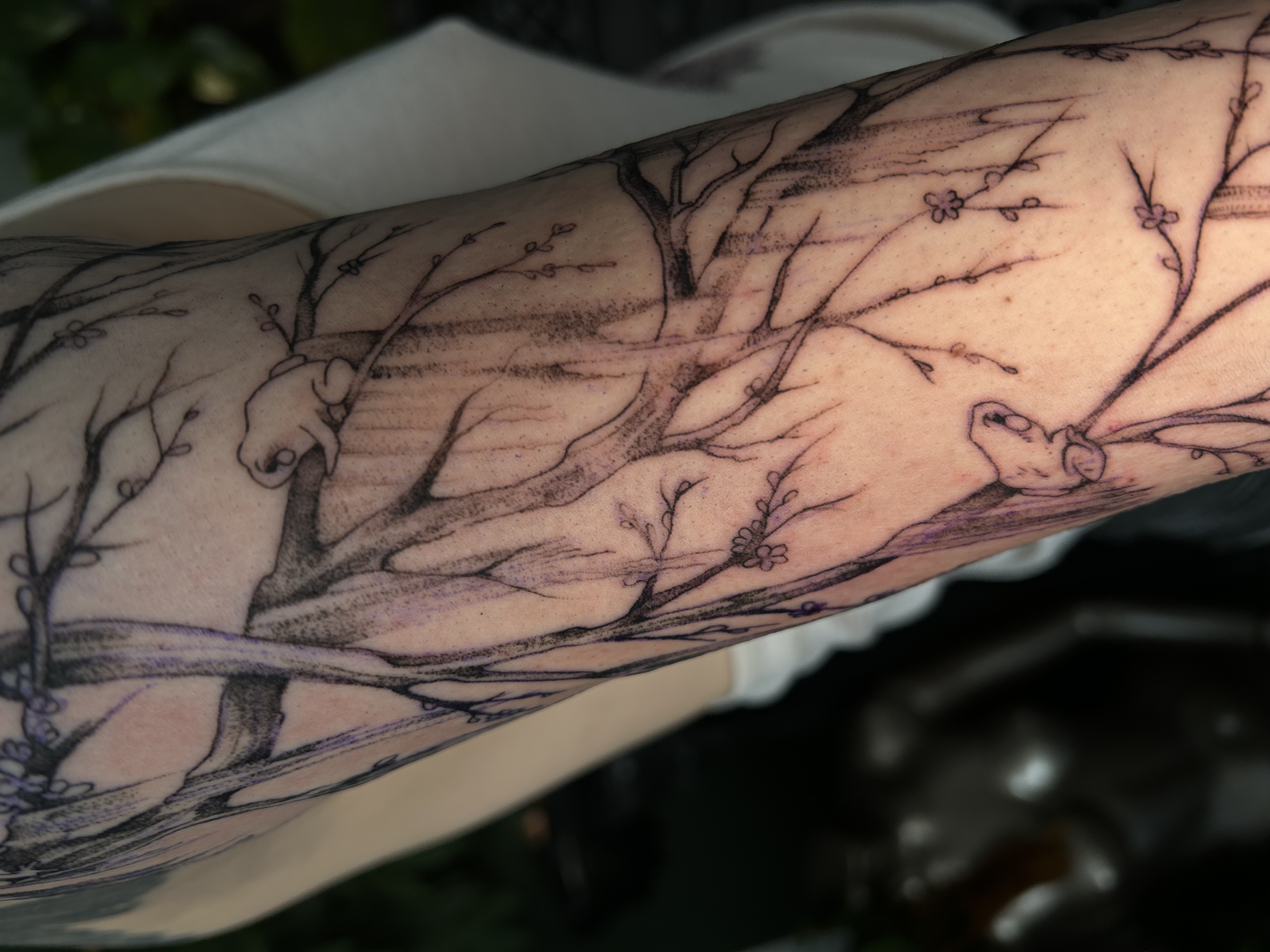 Tattoo image