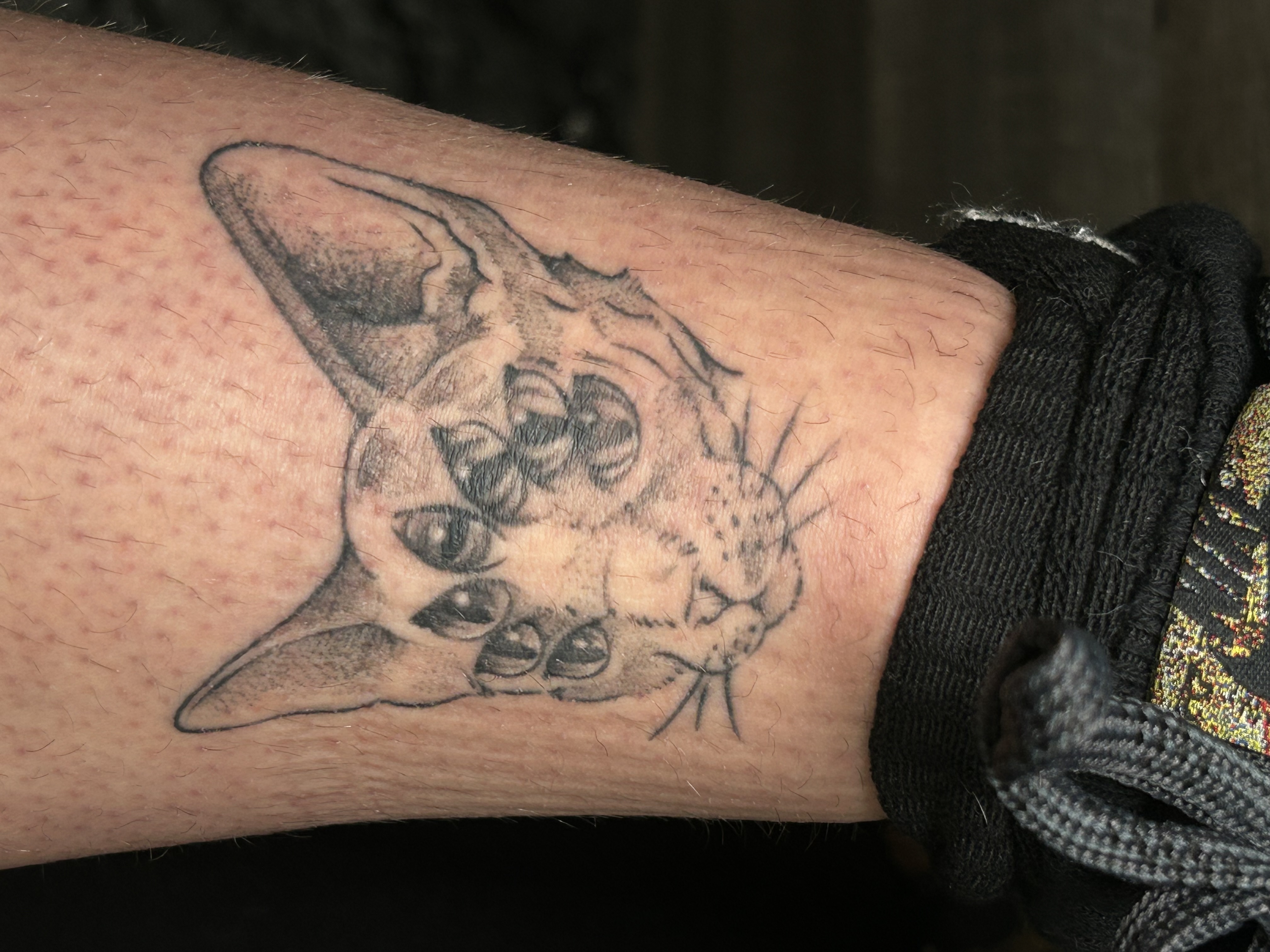 Tattoo image