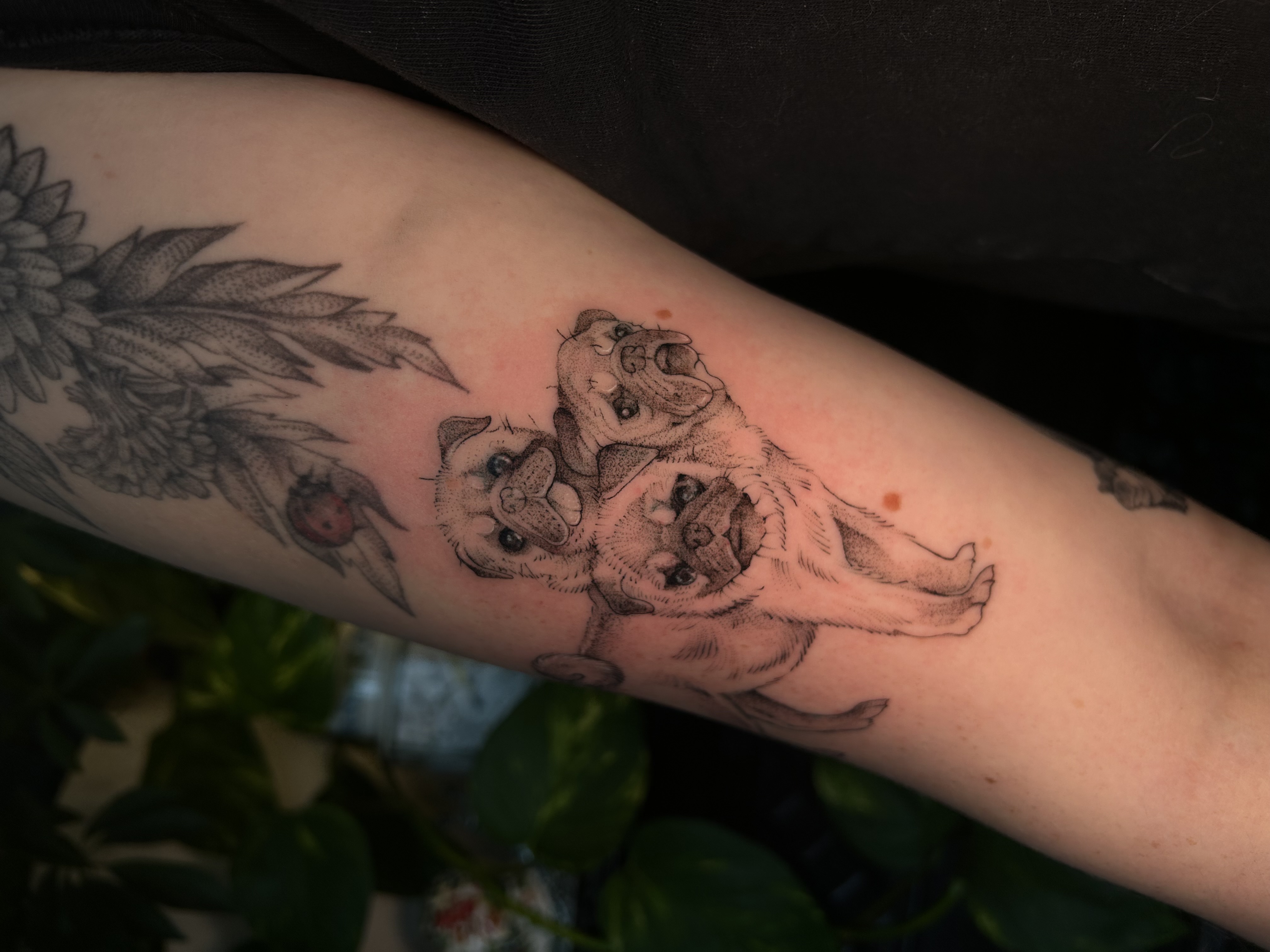 Tattoo image