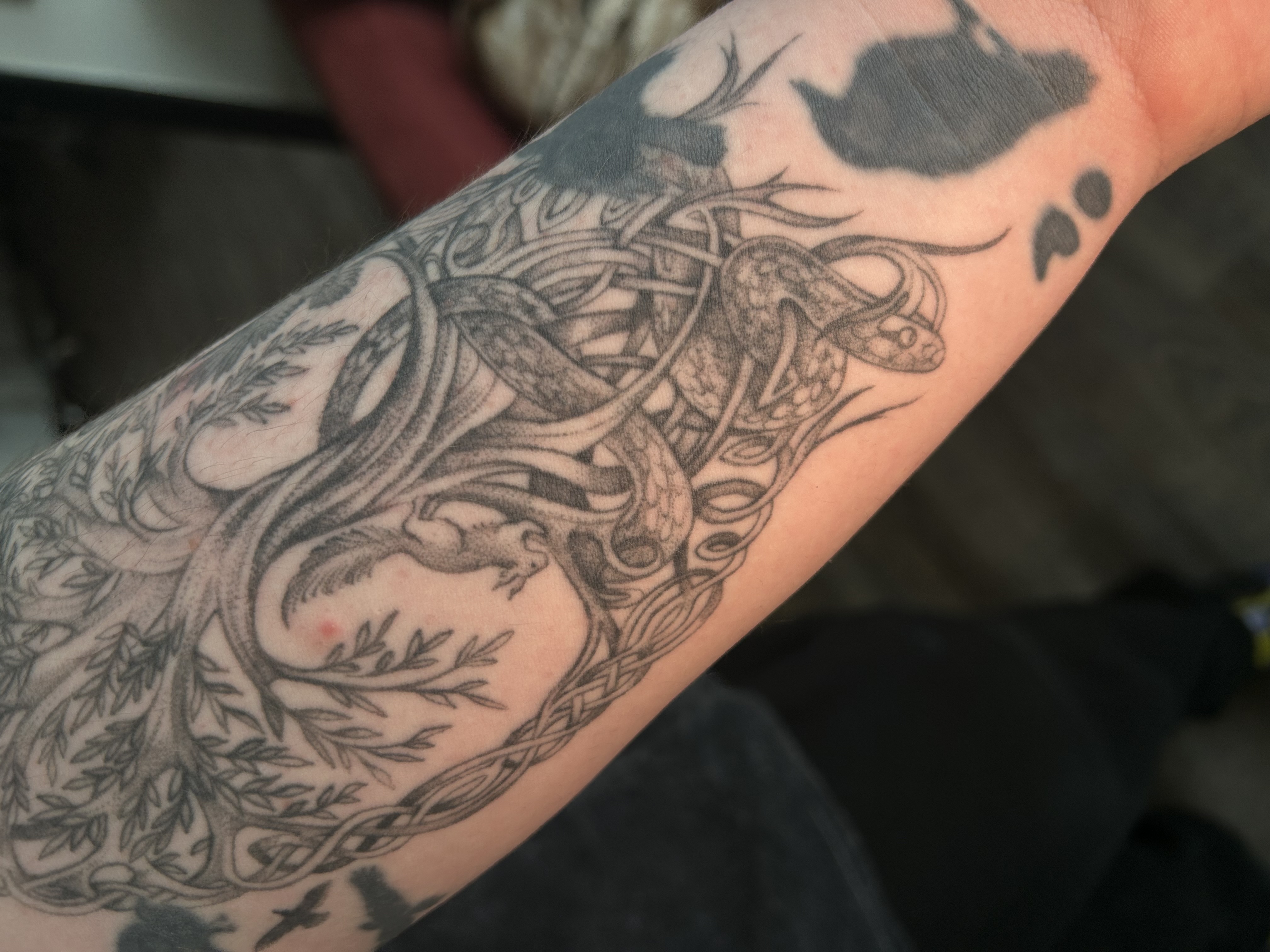Tattoo image