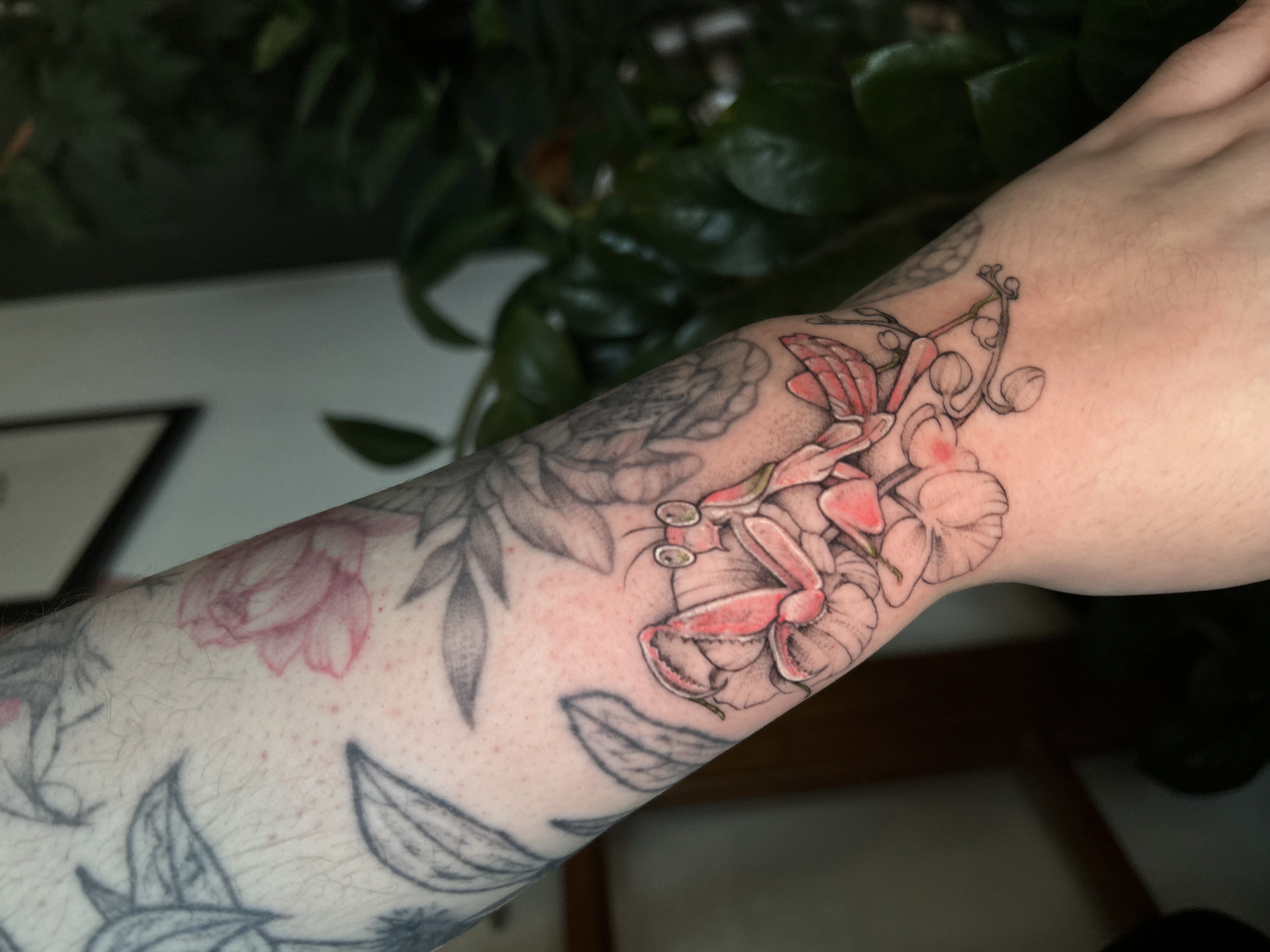 Tattoo image