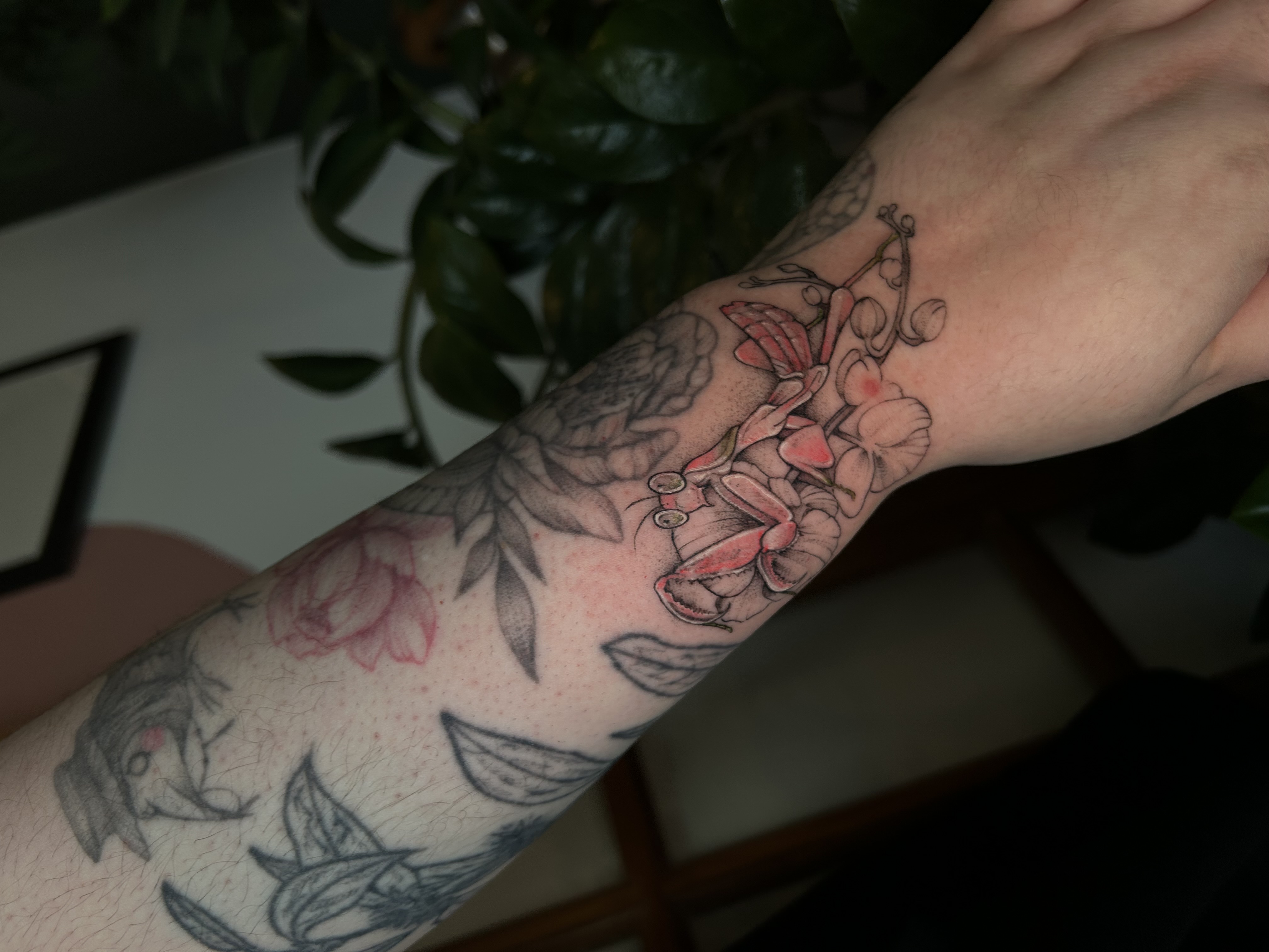 Tattoo image