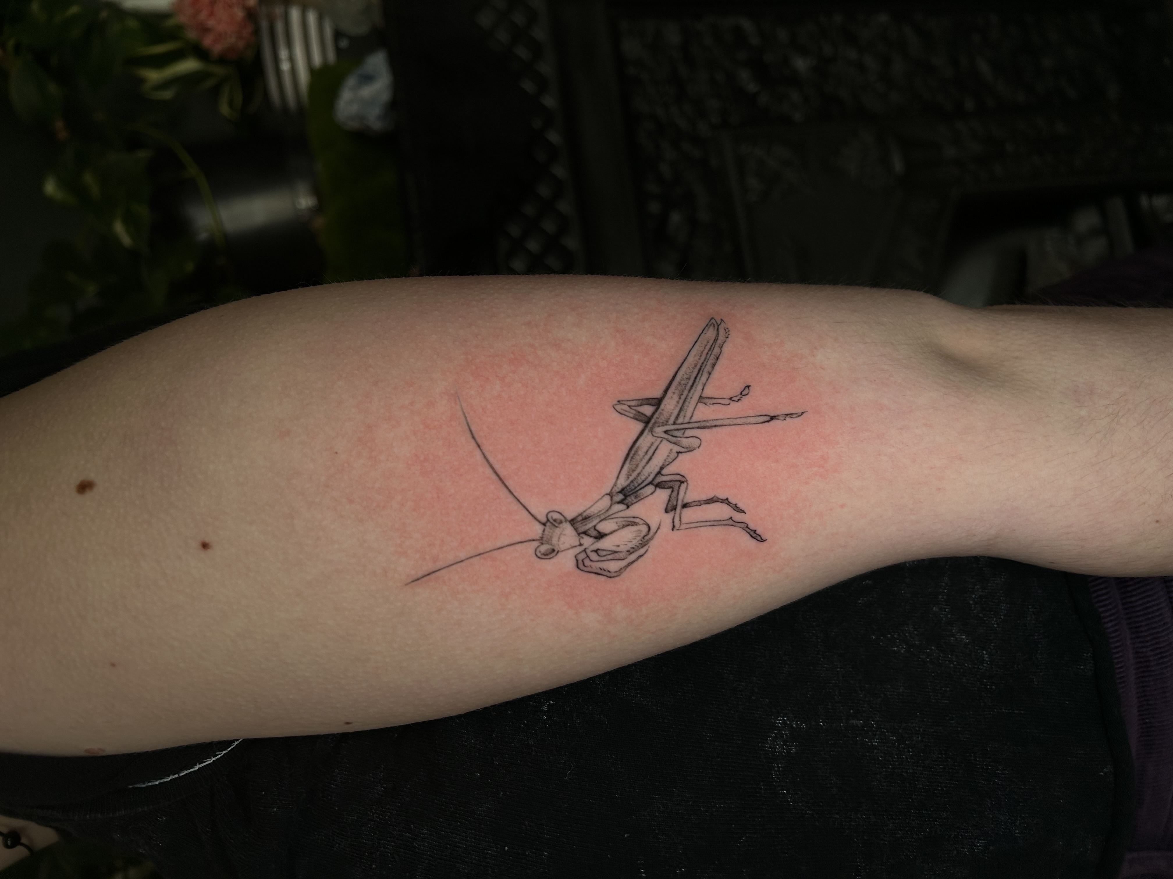 Tattoo image
